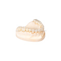 Custom Dental Layered Zirconia